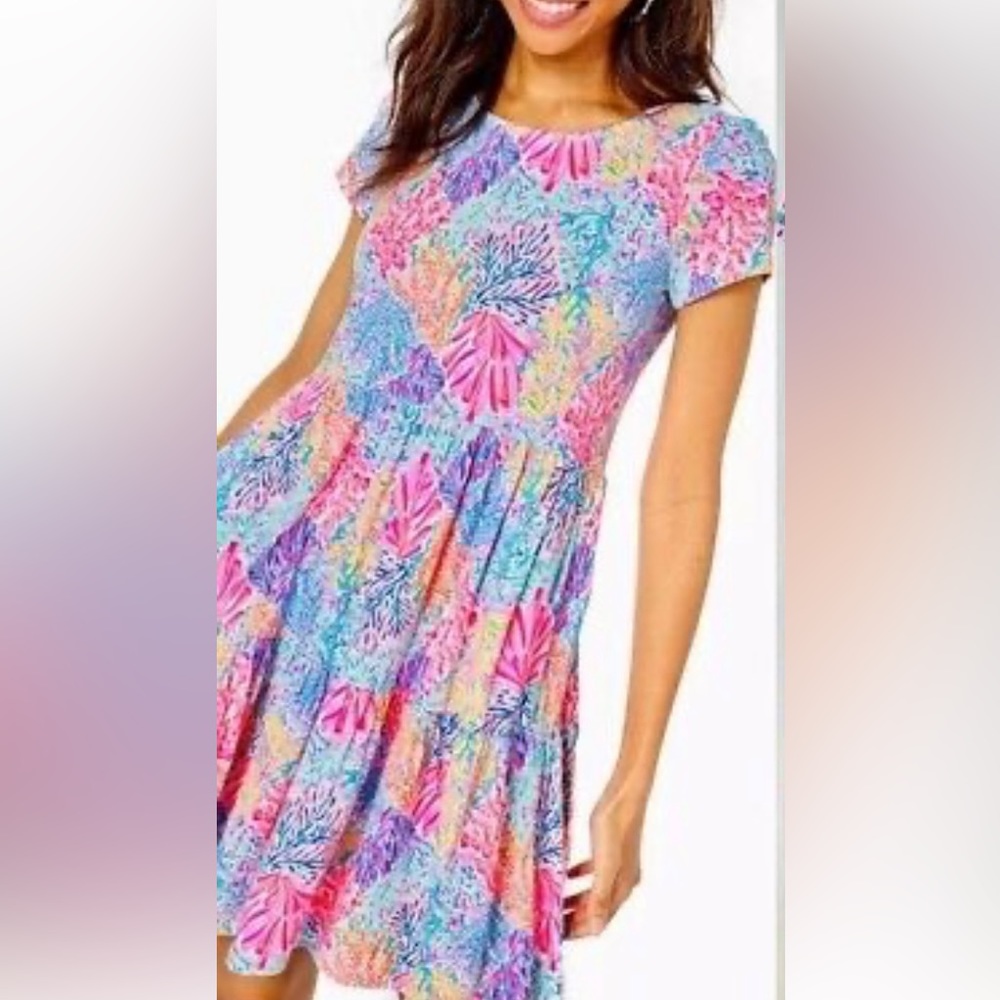 Lilly Pulitzer Geanna Swing size small dress